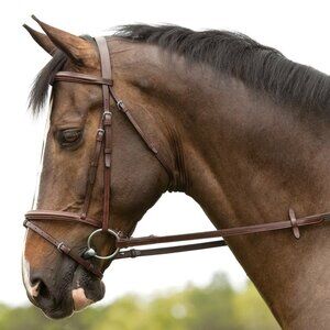 Plymouth Flash Bridle by SmartPak Full Size NWT